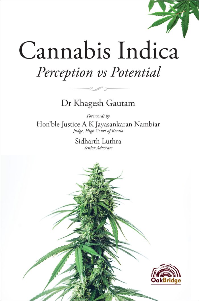 Cannabis Indica: Perception vs Potential